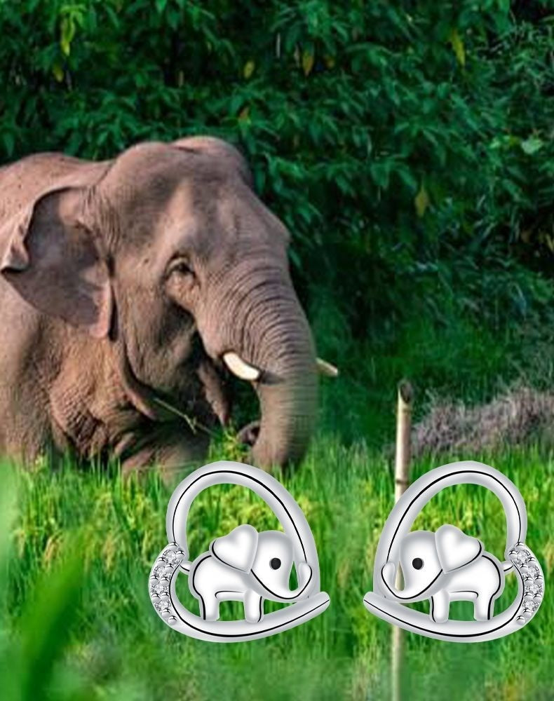 Elephant TK Earrings For Women