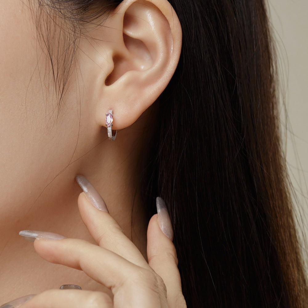 S925 Sterling Silver Earrings For Women